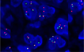 有机硅材料检测